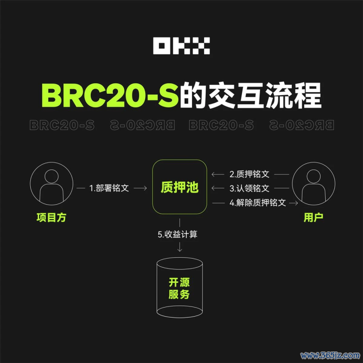 以太坊的社区文化:开发者与用户如何共同推动创新_以太坊生态开发_以太坊dapp开发